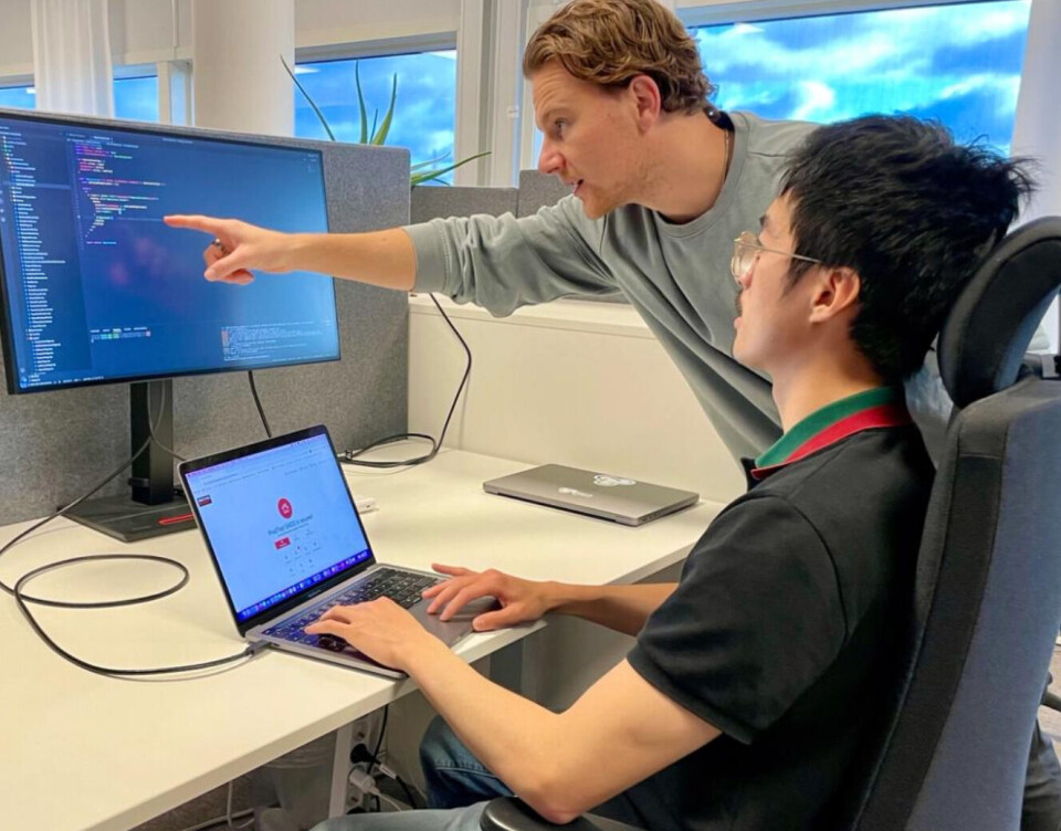 Yne ansatte som samarbeider