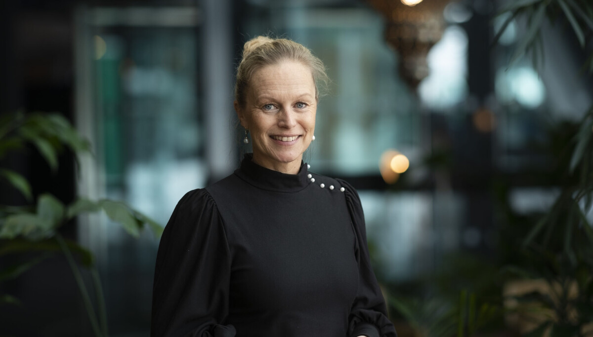 Mama Rasheed Telenor Telenor får ny leder for bedriftsmarkedet